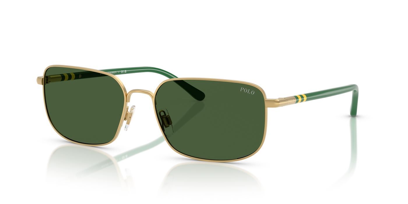 Gafas de Sol Polo Ralph Lauren PH3159 947771 58 17