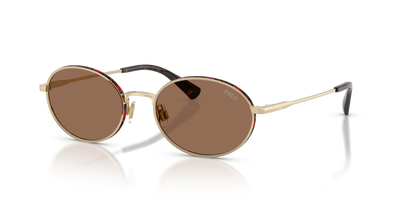 Sonnenbrille Polo Ralph Lauren PH3162 928673 53 19