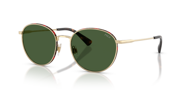 Gafas de Sol Polo Ralph Lauren PH3163 928671 53 19