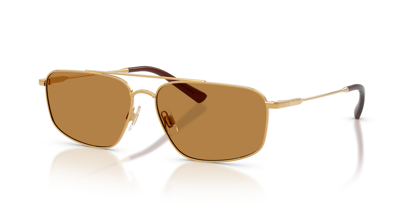 Lunettes de Soleil Polo Ralph Lauren PH3164 932493 58 14