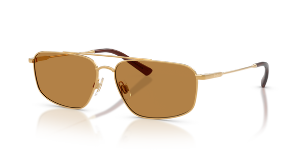 Gafas de Sol Polo Ralph Lauren PH3164 932493 58 14