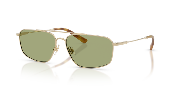 Gafas de Sol Polo Ralph Lauren PH3164 942582 58 14