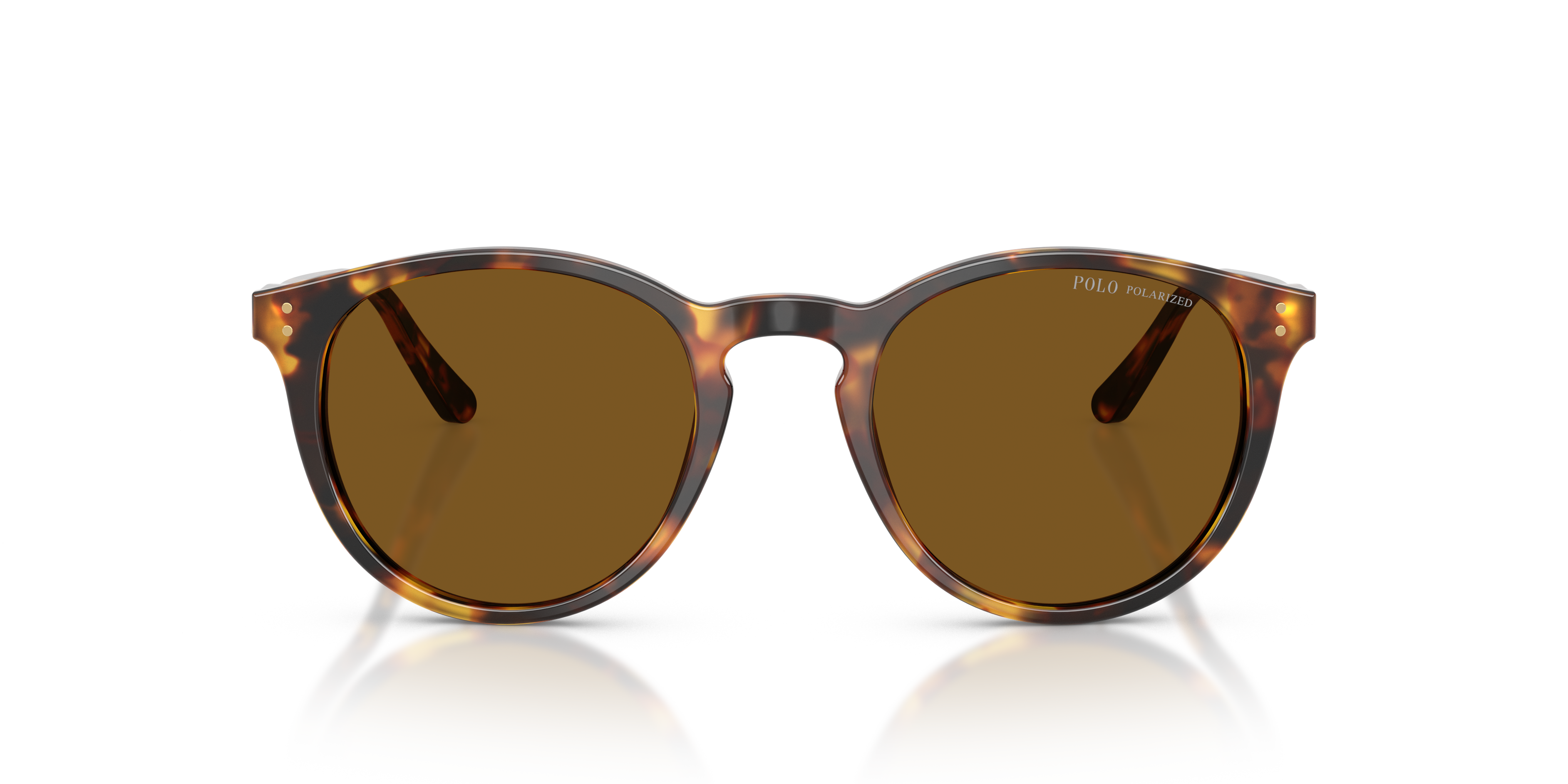 Gafas de Sol Polo Ralph Lauren PH4110 513483 50 21
