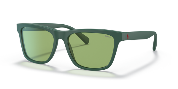 Gafas de Sol Polo Ralph Lauren PH4167 5421/2 56 17