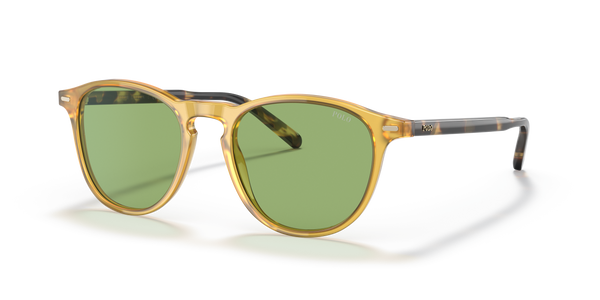 Gafas de Sol Polo Ralph Lauren PH4181 5005/2 51 19