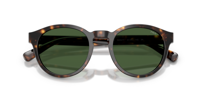Gafas de Sol Polo Ralph Lauren PH4192 500371 51 21 — vista 7