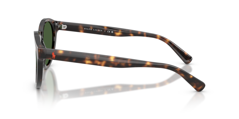 Gafas de Sol Polo Ralph Lauren PH4192 500371 51 21