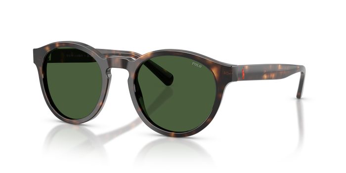 Gafas de Sol Polo Ralph Lauren PH4192 500371 51 21 — vista 4