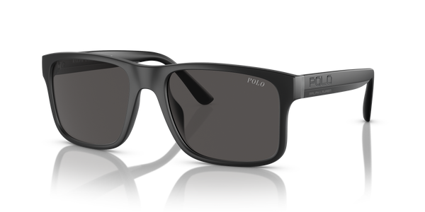 Gafas de Sol Polo Ralph Lauren PH4195U 500187 57 19