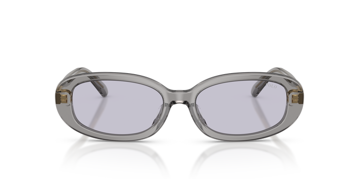 Gafas de Sol Polo Ralph Lauren PH4198U 63181A 53 17 — vista 2