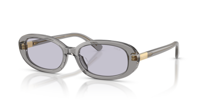 Sonnenbrille Polo Ralph Lauren PH4198U 63181A 53 17
