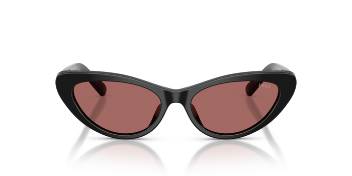 Gafas de Sol Polo Ralph Lauren PH4199U 500169 54 16 — vista 2
