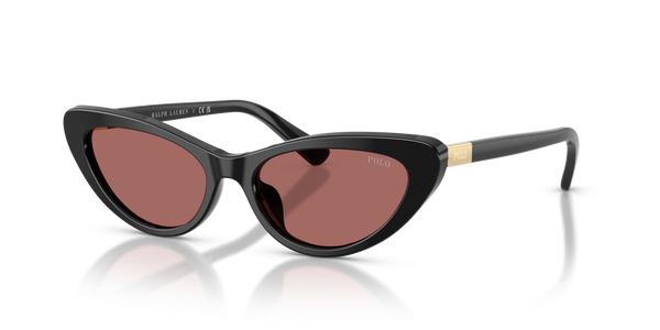 Gafas de Sol Polo Ralph Lauren PH4199U 500169 54 16
