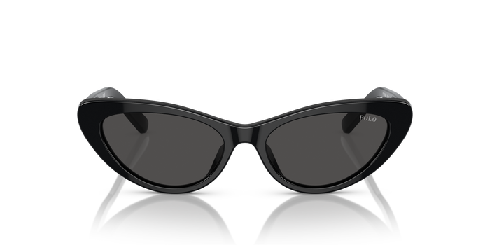 Gafas de Sol Polo Ralph Lauren PH4199U 500187 54 16 — vista 2