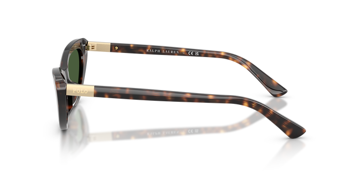 Gafas de Sol Polo Ralph Lauren PH4199U 500371 54 16 — vista 3