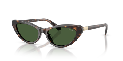 Sonnenbrille Polo Ralph Lauren PH4199U 500371 54 16