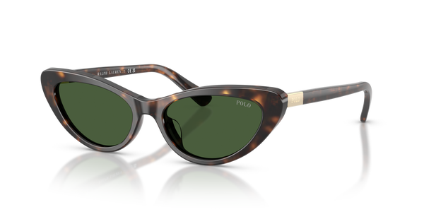 Gafas de Sol Polo Ralph Lauren PH4199U 500371 54 16