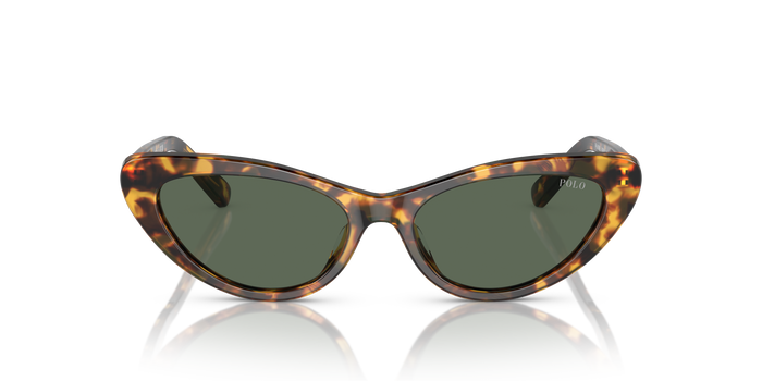 Gafas de Sol Polo Ralph Lauren PH4199U 607871 54 16 — vista 2