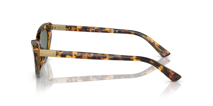 Gafas de Sol Polo Ralph Lauren PH4199U 607871 54 16 — vista 3
