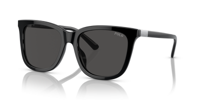 Sonnenbrille Polo Ralph Lauren PH4201U 500187 55 18