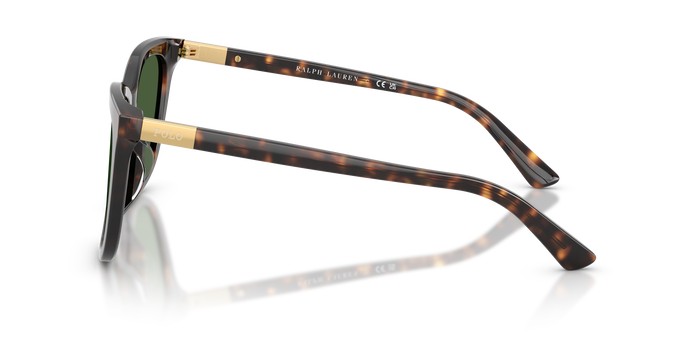 Gafas de Sol Polo Ralph Lauren PH4201U 500371 55 18 — vista 3