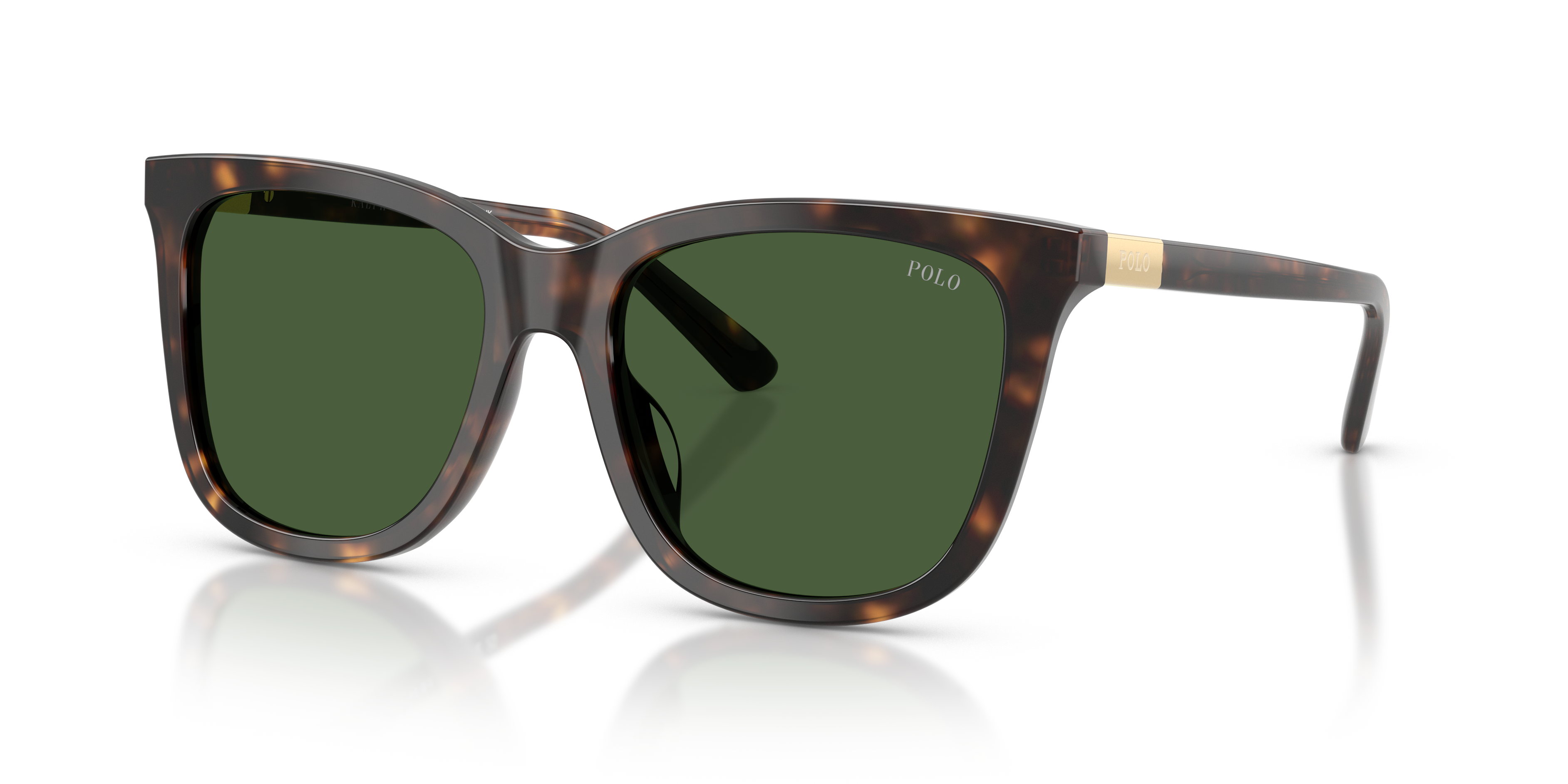 Gafas de Sol Polo Ralph Lauren PH4201U 500371 55 18