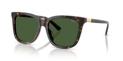 Sonnenbrille Polo Ralph Lauren PH4201U 500371 55 18