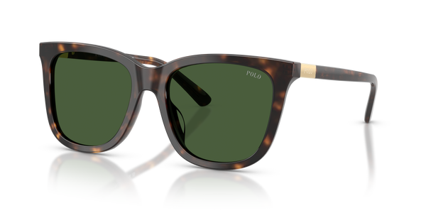 Gafas de Sol Polo Ralph Lauren PH4201U 500371 55 18
