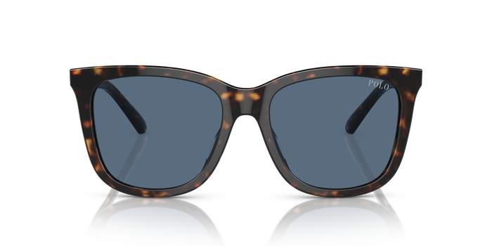Sonnenbrille Polo Ralph Lauren PH4201U 500380 55 18 — vista 2