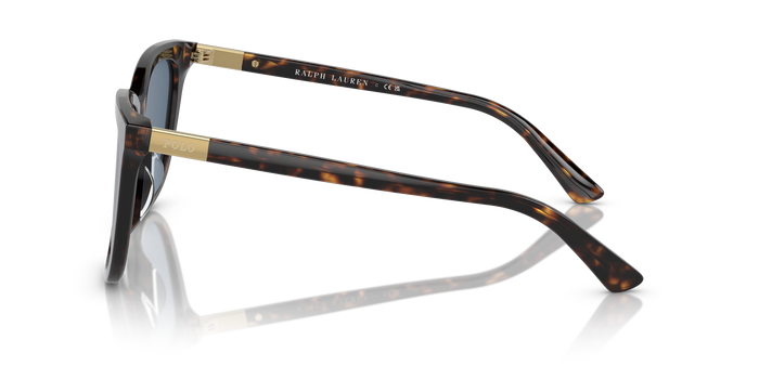 Sonnenbrille Polo Ralph Lauren PH4201U 500380 55 18 — vista 3