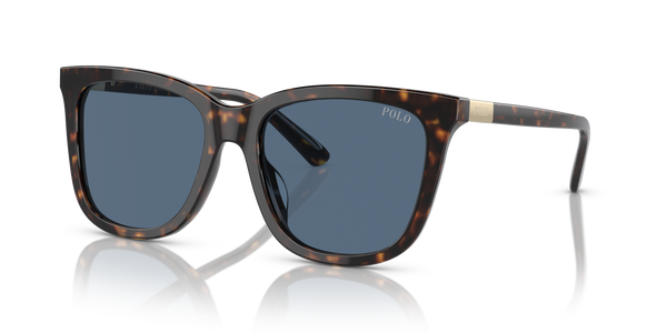 Gafas de Sol Polo Ralph Lauren PH4201U 500380 55 18