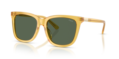 Sonnenbrille Polo Ralph Lauren PH4201U 500571 55 18