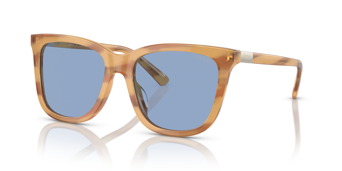 Lunettes de Soleil Polo Ralph Lauren PH4201U 607972 55 18