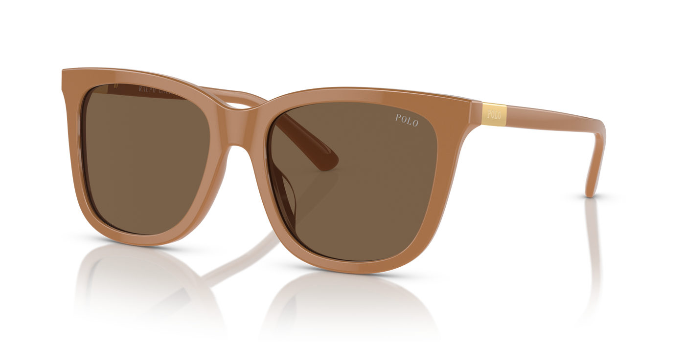 Lunettes de Soleil Polo Ralph Lauren PH4201U 619673 55 18