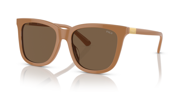 Gafas de Sol Polo Ralph Lauren PH4201U 619673 55 18