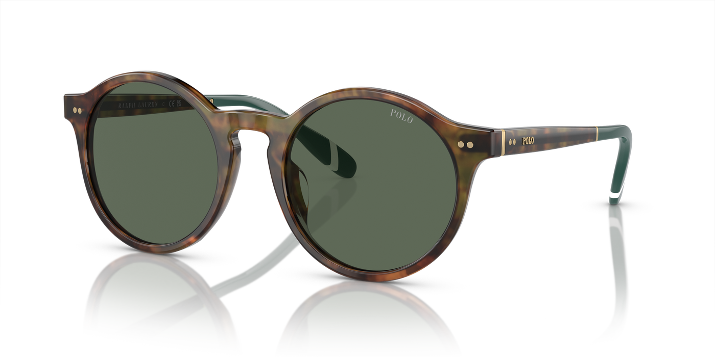 Gafas de Sol Polo Ralph Lauren PH4204U 501771 53 21