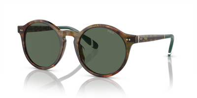 Lunettes de Soleil Polo Ralph Lauren PH4204U 501771 53 21