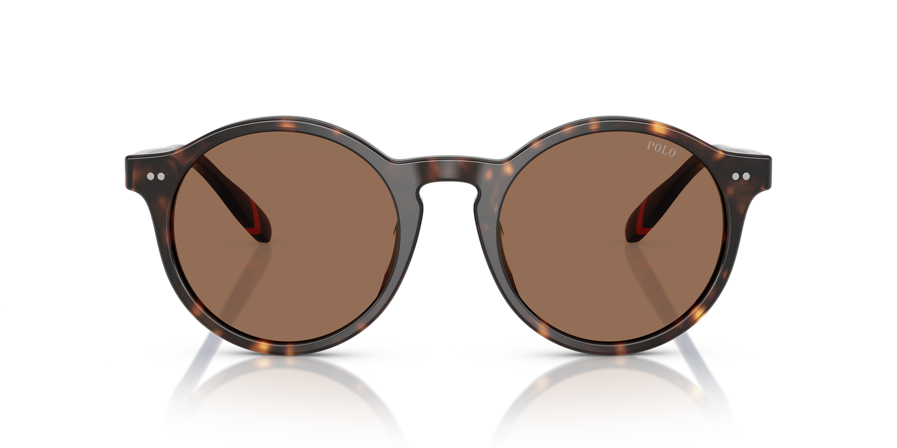 Gafas de Sol Polo Ralph Lauren PH4204U 567373 53 21