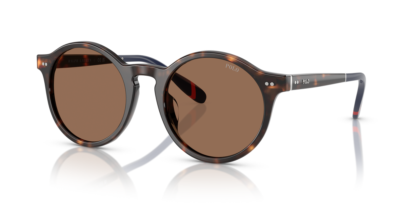 Gafas de Sol Polo Ralph Lauren PH4204U 567373 50 21