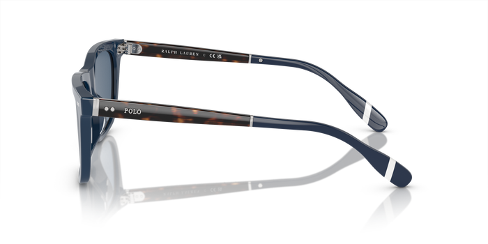 Gafas de Sol Polo Ralph Lauren PH4205U 546580 56 18 — vista 3