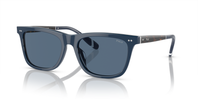 Lunettes de Soleil Polo Ralph Lauren PH4205U 546580 56 18