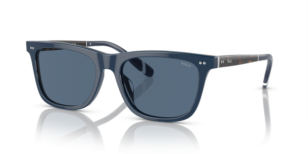 Gafas de Sol Polo Ralph Lauren PH4205U 546580 56 18