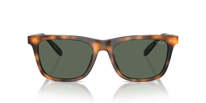 Gafas de Sol Polo Ralph Lauren PH4205U 608971 56 18 — vista 2