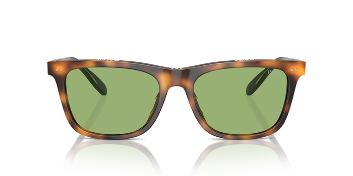 Gafas de Sol Polo Ralph Lauren PH4205U 6089/2 56 18 — vista 2