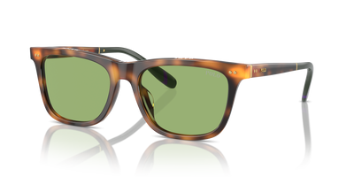 Lunettes de Soleil Polo Ralph Lauren PH4205U 6089/2 56 18