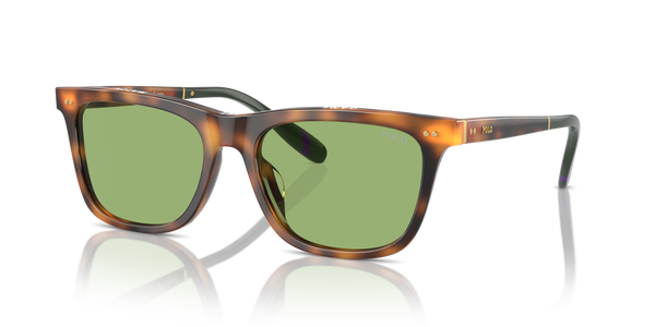 Gafas de Sol Polo Ralph Lauren PH4205U 6089/2 56 18