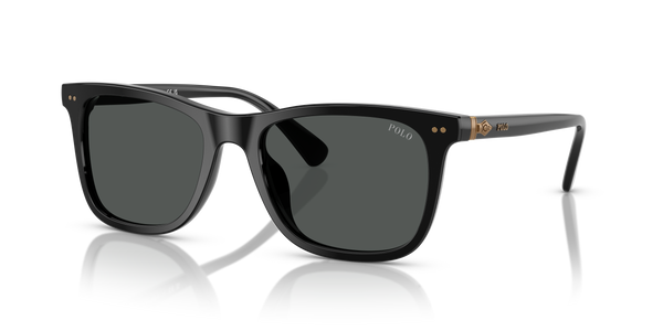 Gafas de Sol Polo Ralph Lauren PH4220U 500187 55 19