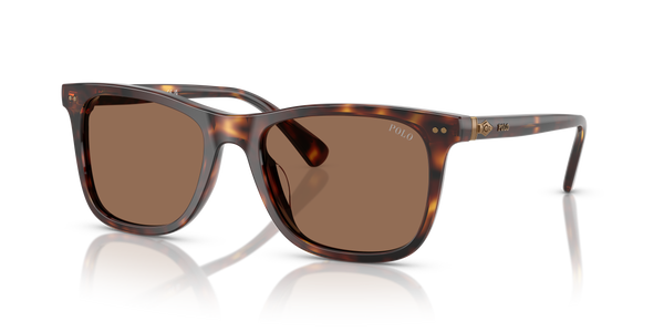 Gafas de Sol Polo Ralph Lauren PH4220U 613773 55 19