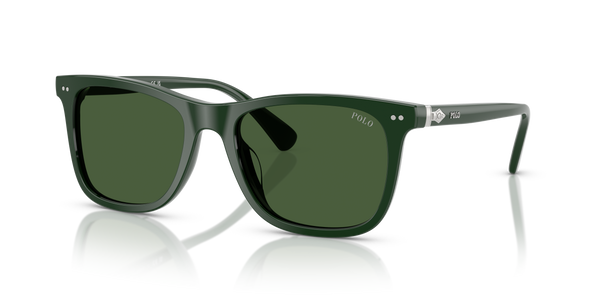 Gafas de Sol Polo Ralph Lauren PH4220U 614071 55 19