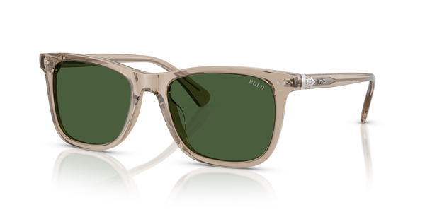 Gafas de Sol Polo Ralph Lauren PH4220U 620171 55 19